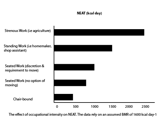 Neat Graph: weight loss diet plan for men